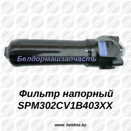 Фильтр напорный SPM302CV1B403XX