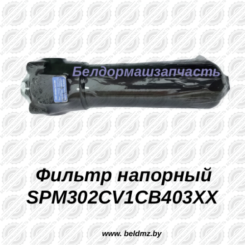 Фильтр напорный SPM302CV1СB403XX