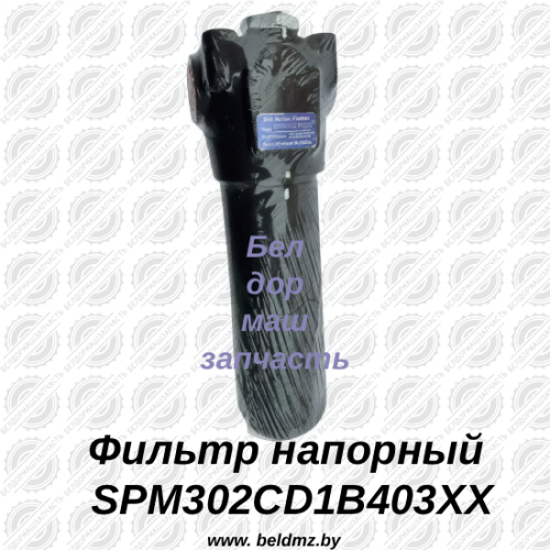 Фильтр напорный SPM302CD1B403XX