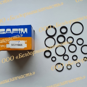 Ремкомплект (Комплект уплотнений) SG11665 главного тормозного цилиндра 111127/A Ремкомплект (Комплект уплотнений) SG11665 главного тормозного цилиндра 111127/A