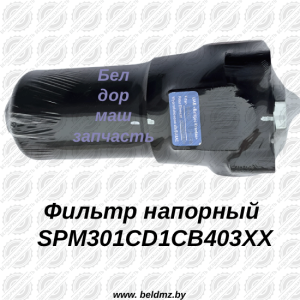 Фильтр напорный SPM301CD1CB403XX