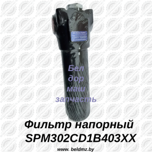 Фильтр напорный SPM302CD1B403XX